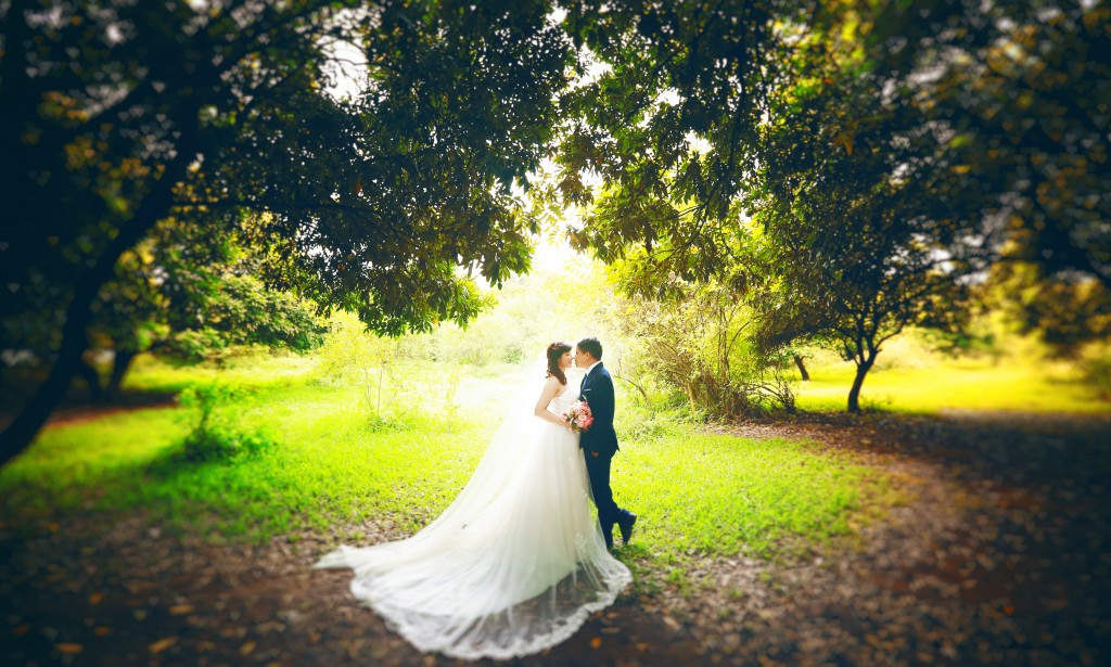 Gói du lịch kết hợp chụp ảnh cưới 2026 – không lo phát sinh