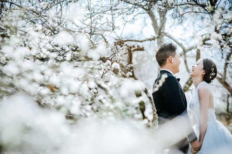 Gói du lịch kết hợp chụp ảnh cưới 2026 – không lo phát sinh